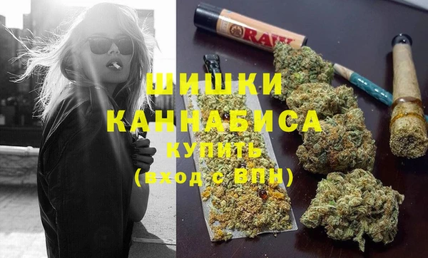 крисы Абаза