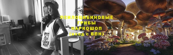 мескалин Алексин